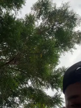 Cam4 Private Sex Chat of Outdoorsd