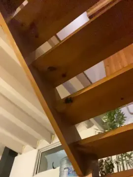 Cam4 Sex Cam of marcelsexfun