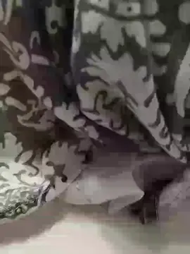 Cam4 Live Porn of nay_5