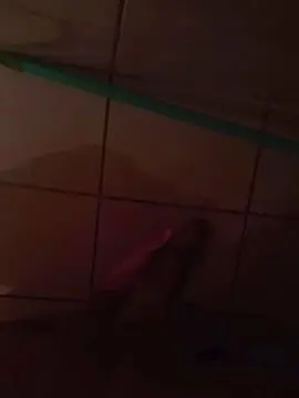 Cam4 Adult Webcam of Granmonda