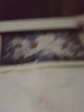 Cam4 Live Sex of rodri671