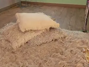 Cam4 Live Porn of Kloe_s