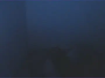 Cam4 Free Live Porn of luna_rusell74