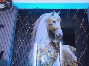 Cam4 Free Porn Cam of Handsome_boys_