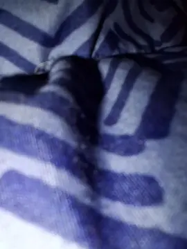Cam4 Sex Chat of dom329