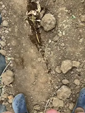 Cam4 Live Sex of Rntzr94