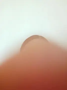 Cam4 Best live sex cam show of hanna_fox3