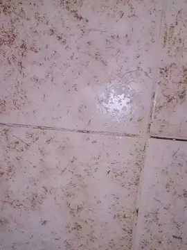 Cam4 Best live sex cam show of Scarlett_pee