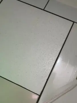 Cam4 Nude Webcam of Ruivinhaxx18