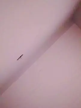 Cam4 Live Porn of victor62Go