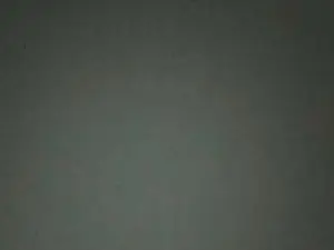 Cam4 Adult Webcams of la_biscotte_du1