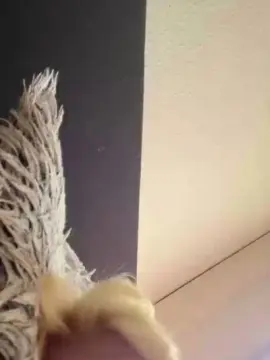 Cam4 Free Live Porn of katharina6871