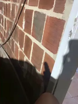 Cam4 Sex Cam of Lucasbezerra6