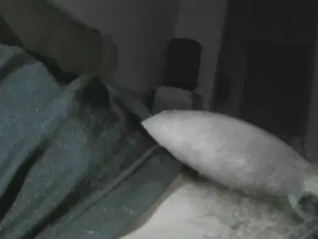 Cam4 Live Sex Cam of leonjllxv