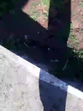 Cam4 Free Live Porn of novonaarea1