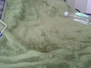 Cam4 Best Webcam of Tendertorment