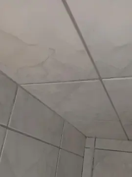 Cam4 Best live sex cam show of Safadinho2304