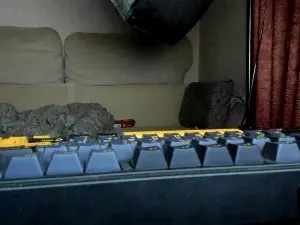 Cam4 Best live sex cam show of crazybottom99