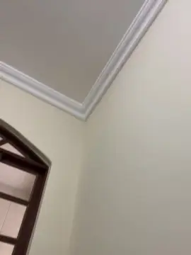 Cam4 Adult Video Chat of Zedot