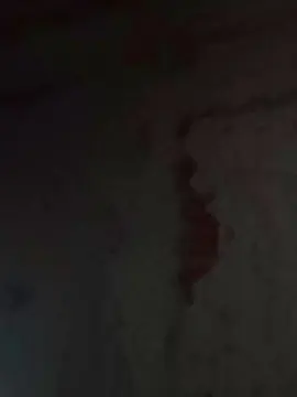 Cam4 Sex Cam of belencita320