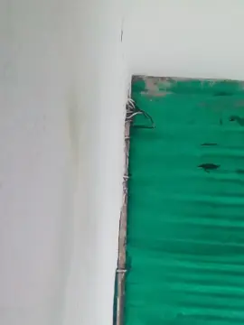 Cam4 Free Porn Cam of Alex18sroc