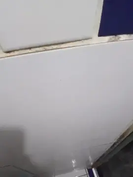 Cam4 Best Webcam of fbpressao