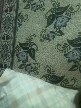 Cam4 Adult Webcams of elguapo54