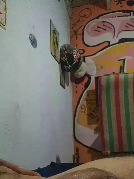 Cam4 Free Live Porn of Jacobinho23