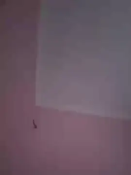 Cam4 Sex Cam of novinho1978