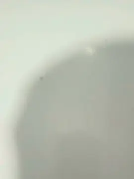 Cam4 Best Webcam of jordan931