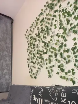 Cam4 Live Sex Cam of bravo_maestro