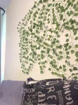 Cam4 Adult Video Chat of bravo_maestro