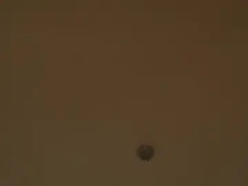 Cam4 Best live sex cam show of TierraCheck