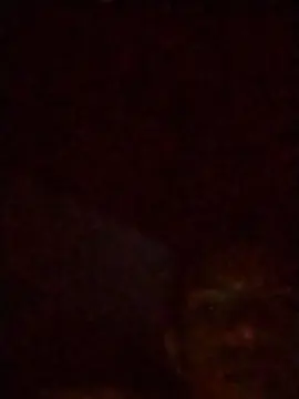 Cam4 Best live sex cam show of dondxxx_hot