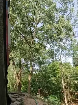 Cam4 Live Sex of Richard_2