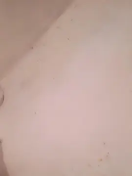 Cam4 Adult Video Chat of rocio221