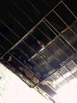 Cam4 Best Webcam of vulma4