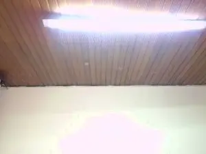 Cam4 Adult Webcams of Scarllett_BDSM