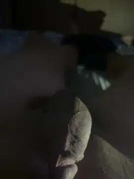 Cam4 Sex Chat of nahuj3