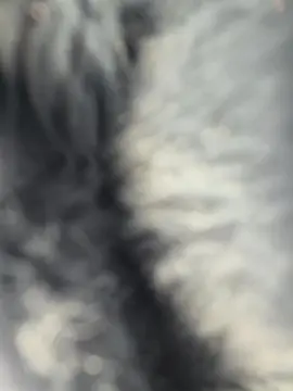 Cam4 Adult Webcam of Moskita69