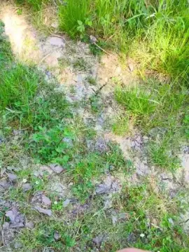 Cam4 Live Porn of Freecumfre