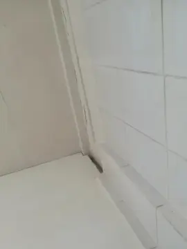 Cam4 Live Porn of chrisd26_