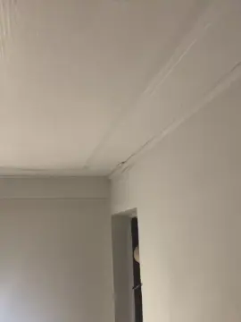 Cam4 Adult Webcam of alexis3094