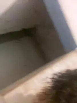 Cam4 Free Live Porn of Danixayume20