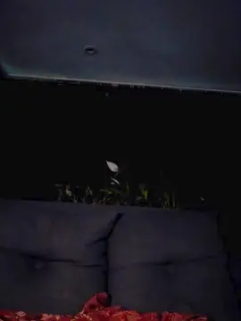 Cam4 Watch Live Sex Cams of Roxannepiggy