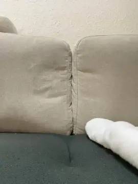 Cam4 Adult Video Chat of Cumcontroll20