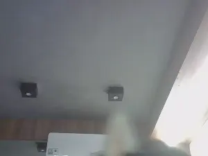 Cam4 Adult Webcams of SkinnyKittenCam