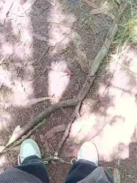 Cam4 Watch Live Sex Cams of _noahdiaz