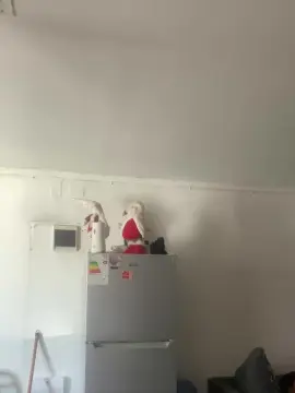 Cam4 Adult Webcam of harry18201