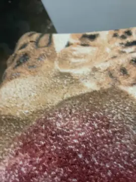 Cam4 Adult Webcam of Pau_preto00